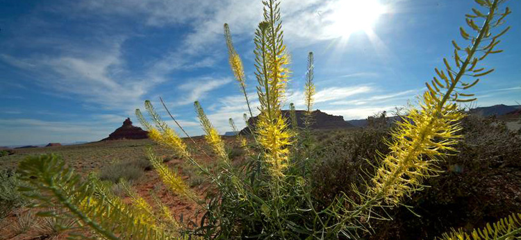 08 valley of gods ANG2981A