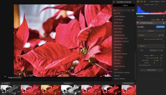 How to Quickly Process Your Holiday Photos with Luminar’s Accent AI Filter