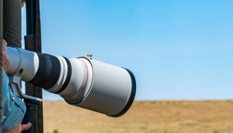 Canon’s Rumored Super-Telephoto Lens: The RF 200-500mm f/4L 1.4x