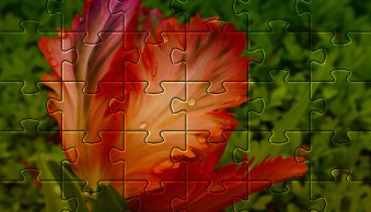 Creative Uses for the GIMP Jigsaw Pattern