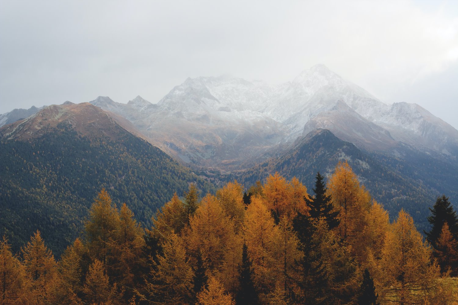 autumn trees with mountains in the background landscape photography composition