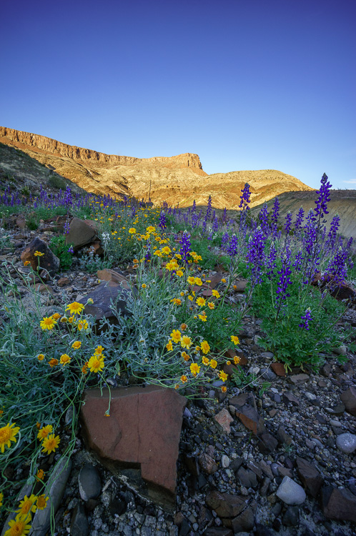 Wide-angle landscape photography