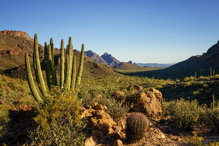 Wide-angle landscape photography