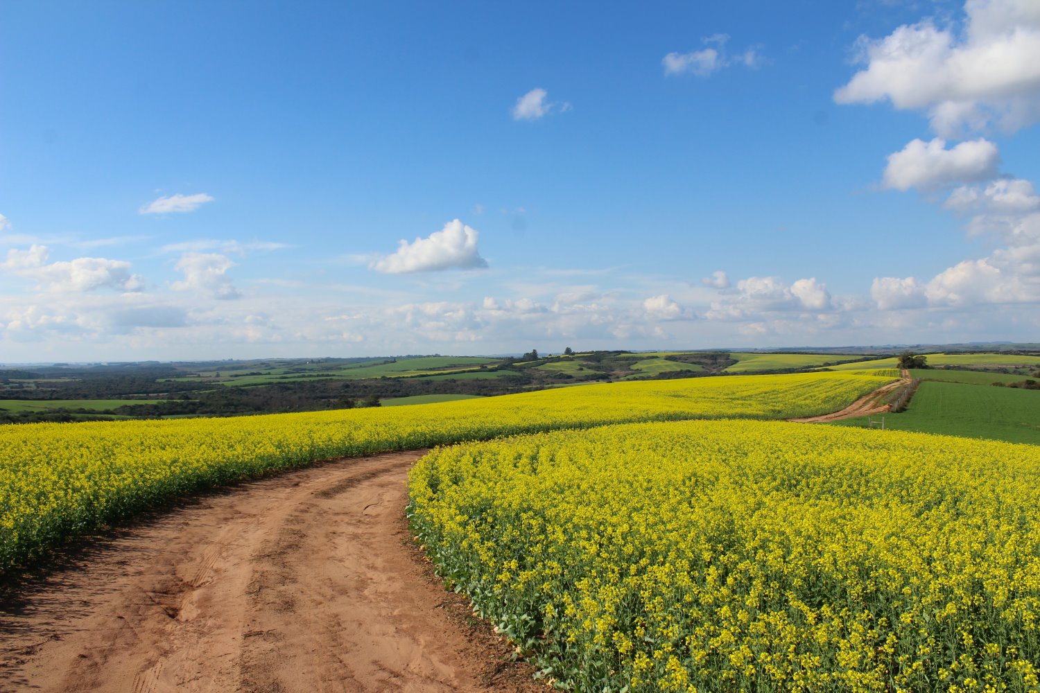 Wide-angle landscape photography