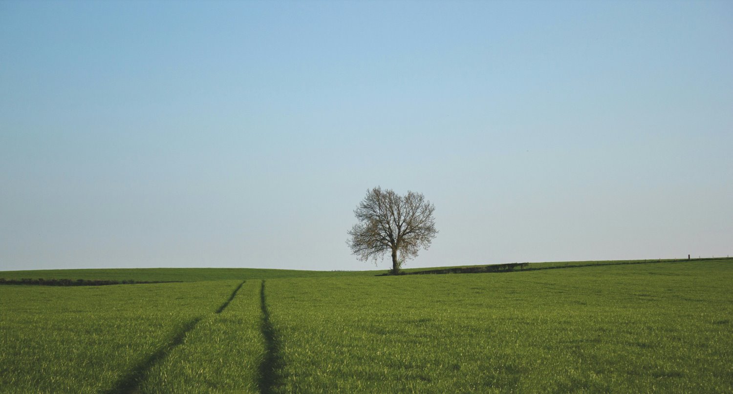 Wide-angle landscape photography